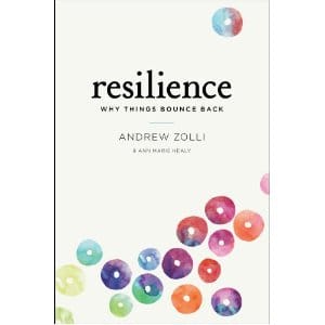 Philanthropy Buzzword 2012.6 - Resilience